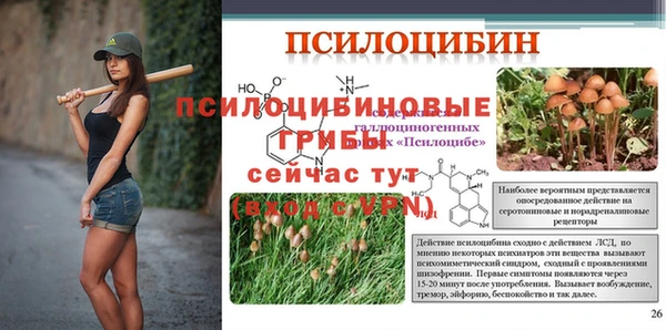 гидра Семёнов
