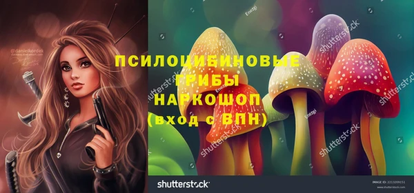 гидра Семёнов