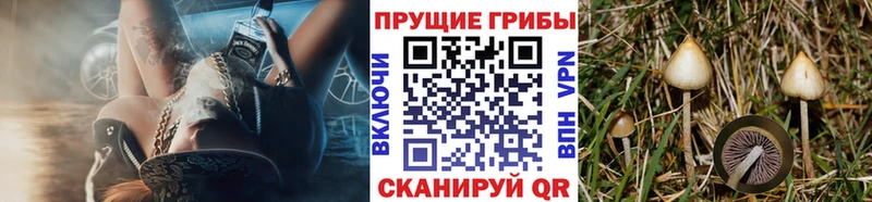 Псилоцибиновые грибы Magic Shrooms Черемхово